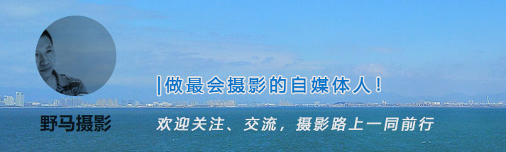 拍照用什么对焦模式比较好,精准对焦怎么拍照