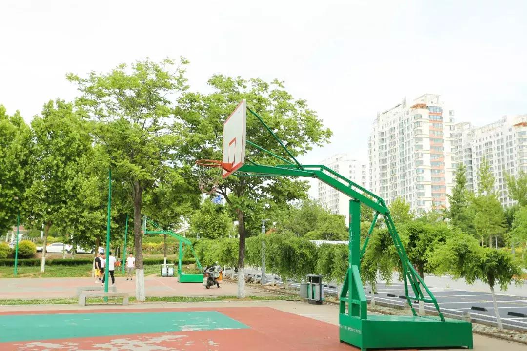 沈阳篮球约球攻略,临沂约球