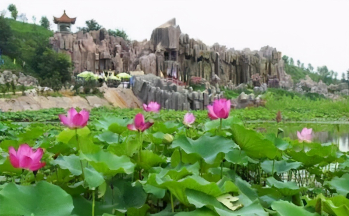 河南濮阳华龙区旅游攻略,河南省濮阳市华龙区游玩景点