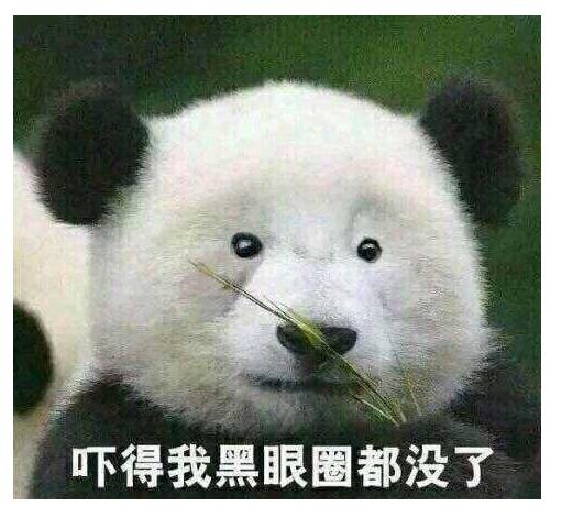 最佳戏精奖,最佳戏精奖获得者