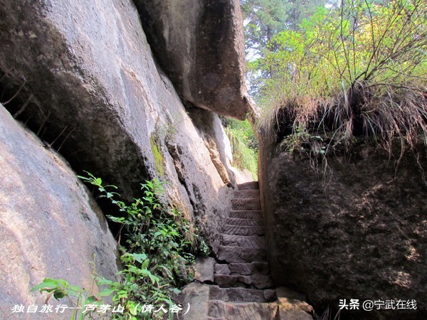 宁武芦芽山悬崖栈道,太原出发芦芽山马仑草原自驾路线
