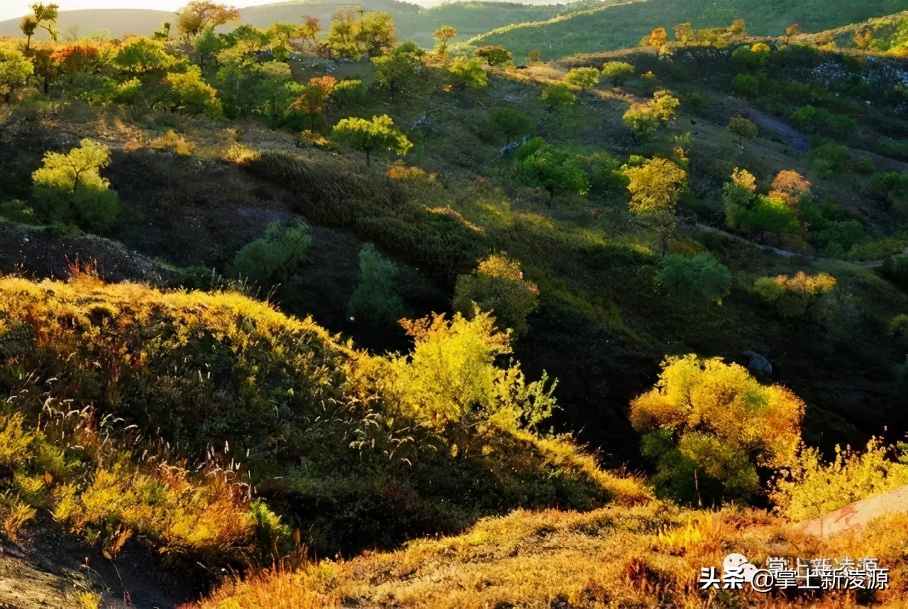 走遍凌源之大美金花山