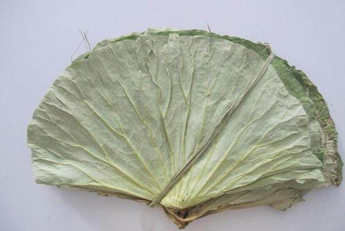 冬瓜水鸭汤有清热解毒功效,冬瓜老鸭煲汤的功效与作用