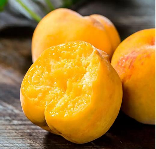 比较适合三伏天的食物你知道多少,三伏天暑湿较重吃什么蔬菜