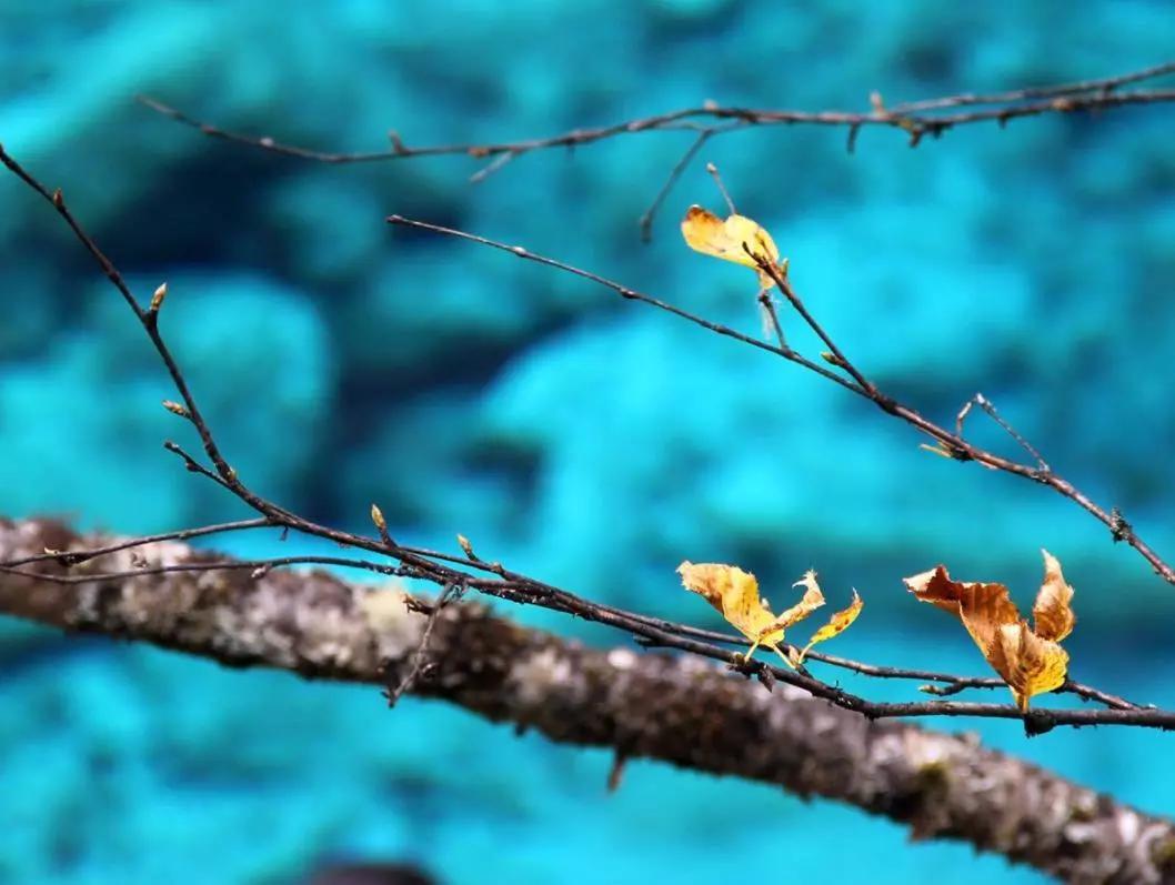 云游中国四川,云游四川