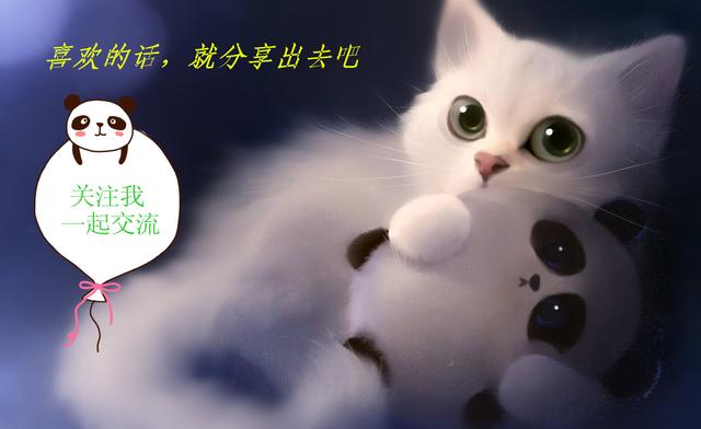 运输公司租车跑货运靠谱吗,租车跑货运有什么套路