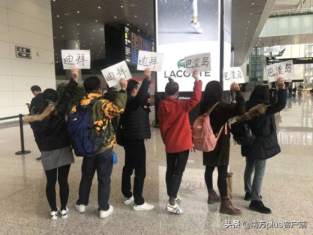 广东导游在海外挨个店买，“人肉”带回10万件紧缺物资驰援湖北