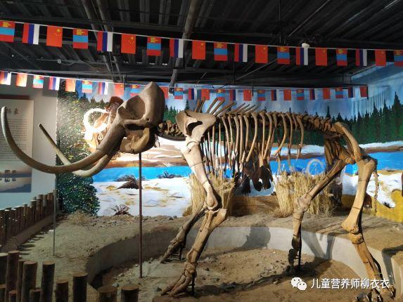 暑假内蒙古旅游攻略亲子,暑假亲子游玩内蒙古5天4夜