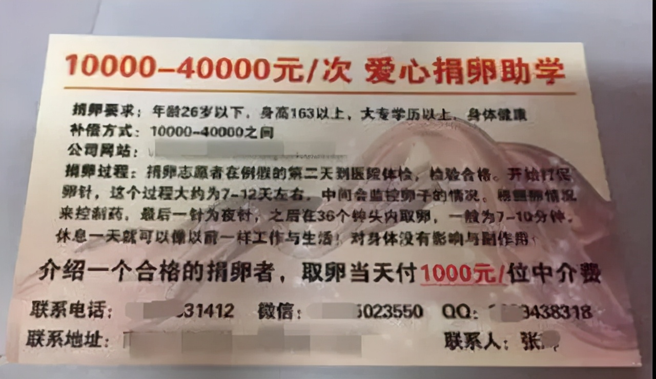 捐卵黑幕,捐卵骗局真人