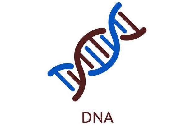 如何改善发质,发质油腻怎么改善