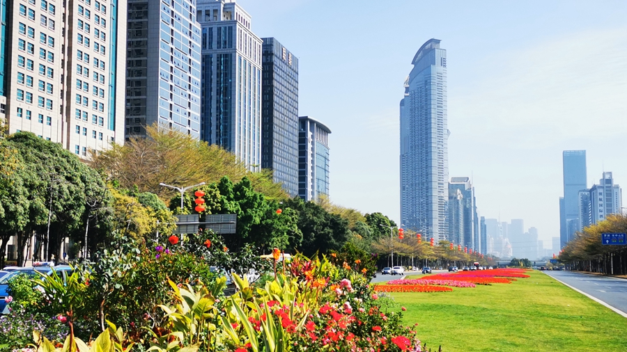 航拍深圳深南大道高楼,深圳福田区高楼打卡拍照