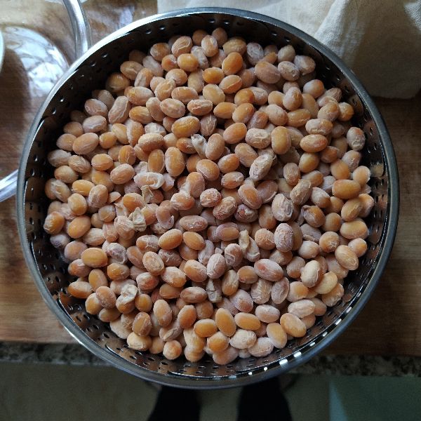 纳豆制作的工艺要点,纳豆制作需有氧还是无氧发酵