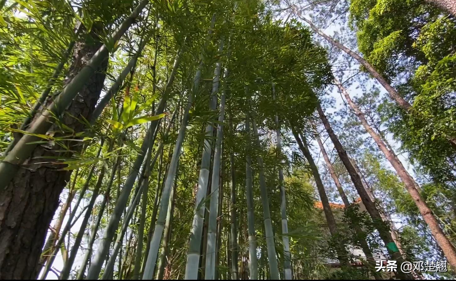 广州从化亮点农家菜,从化农庄土菜有哪些