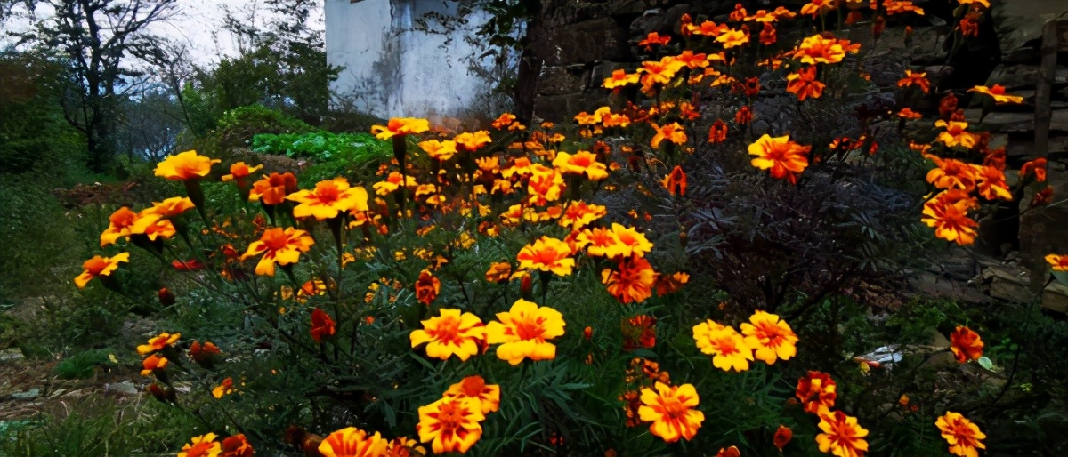 自由光2.0t驾驶感受,18年自由光2.4车主真实感受