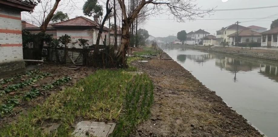 昆山城郊百年侨乡,红砖洋房异域风情,遗憾却被称为“强盗村”