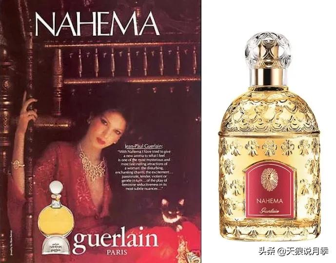 清新淡淡的月季花香水推荐,月季花香的香水有哪些