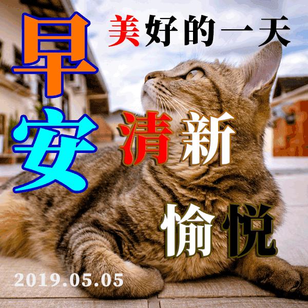 早晨问安:生命中,有风,有雨,但别忘也会有阳光,早晨好!