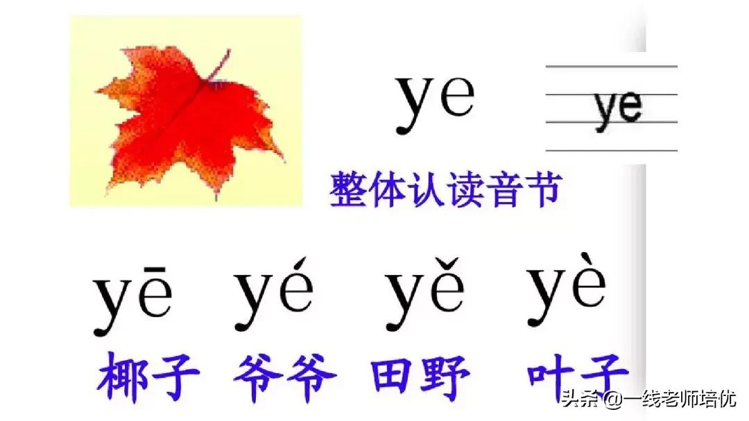 小学汉语拼音整体认读音节,小学汉语拼音整体认读音节视频