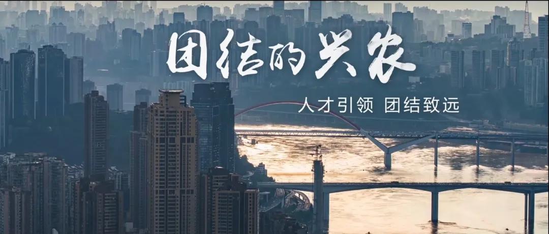 重庆市兴农担保集团,重庆兴农担保集团