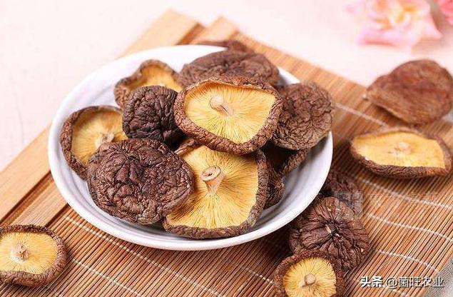 家庭没有烘干机香菇怎么烘干,香菇烘干机的操作