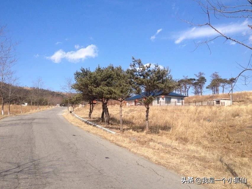 那年，公司将我从非洲安哥拉调到了朝鲜（26、我在朝鲜买海参）