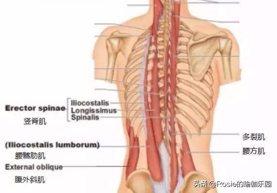 长短腿高低肩驼背头前倾,怎样改善高低肩和驼背学生
