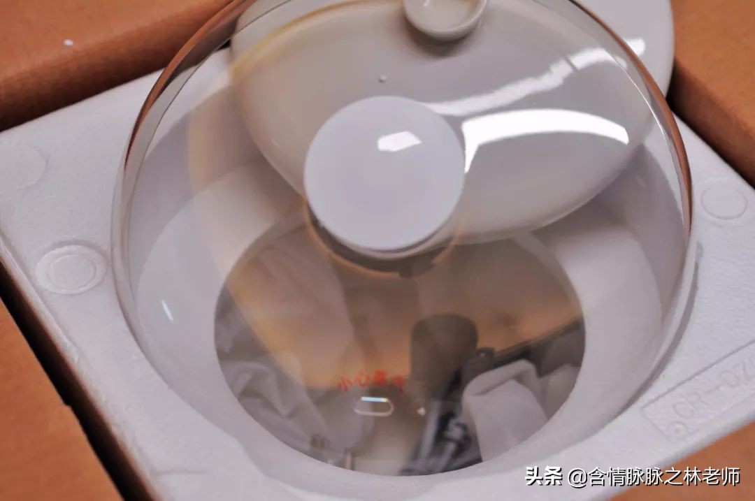 最好用的炖盅推荐,万物皆可铁锅炖