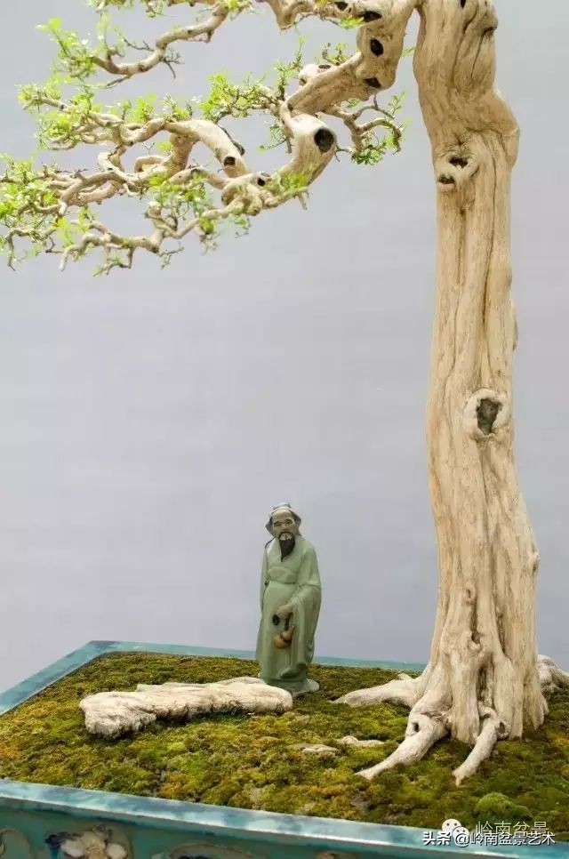 骞哥涔呬箙鐢滅敎铚滆湝,骞哥涔呬箙