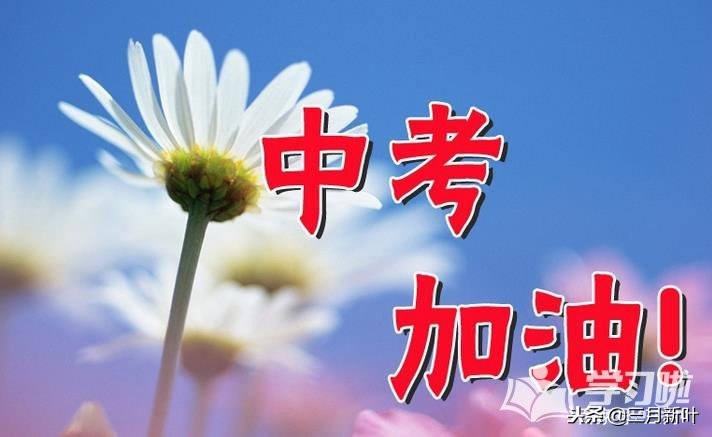 备战中考文字内容,中考文言文虚词