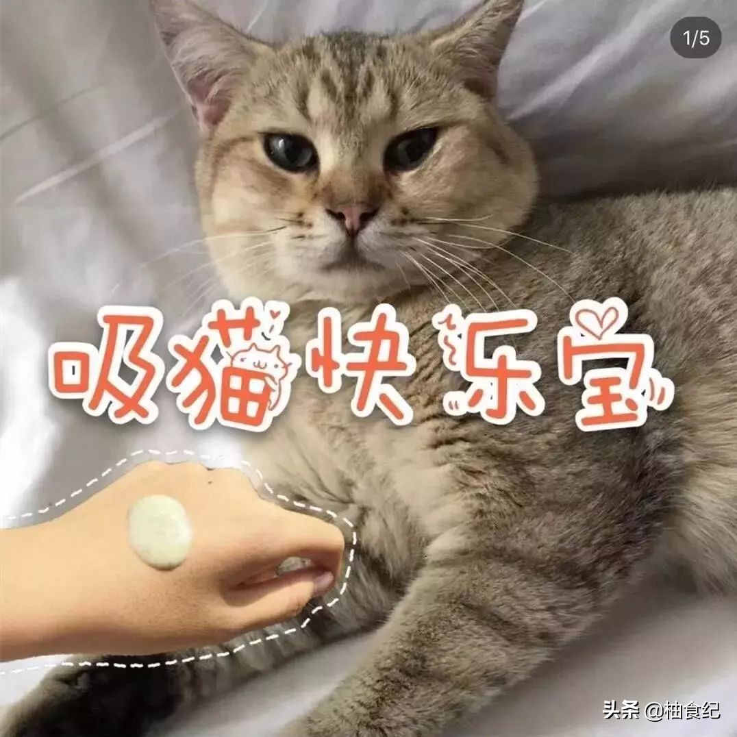 美白护手霜推荐第一名测评,高级精致护手霜有哪些品牌