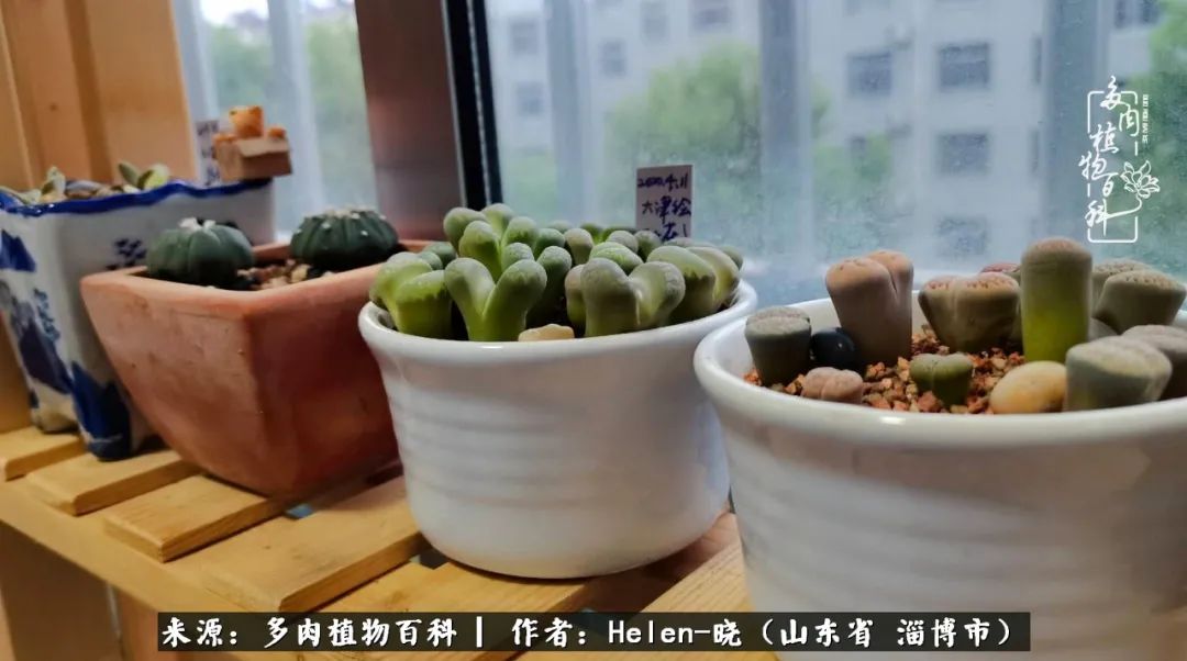 人到中年温暖如初,人到中年岁月静好