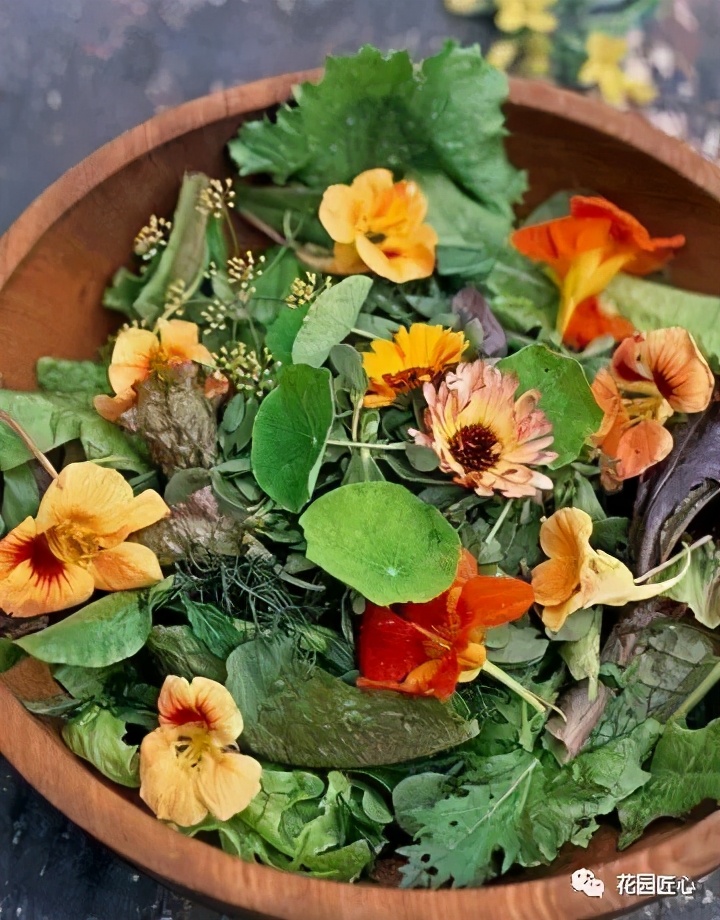 可以食用的花可制作的美食,100种可食用花的做法