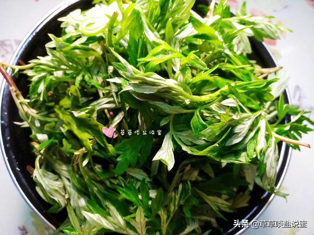 野外的艾草怎样处理才能有药效,新鲜艾草怎么保存