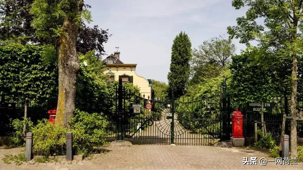 多年悬案水落石出，荷兰医生用自己的精子孕育49名子女