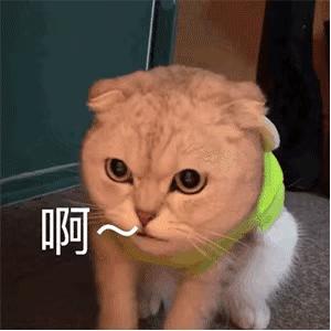 这些方法可以让乳汁多又有营养？