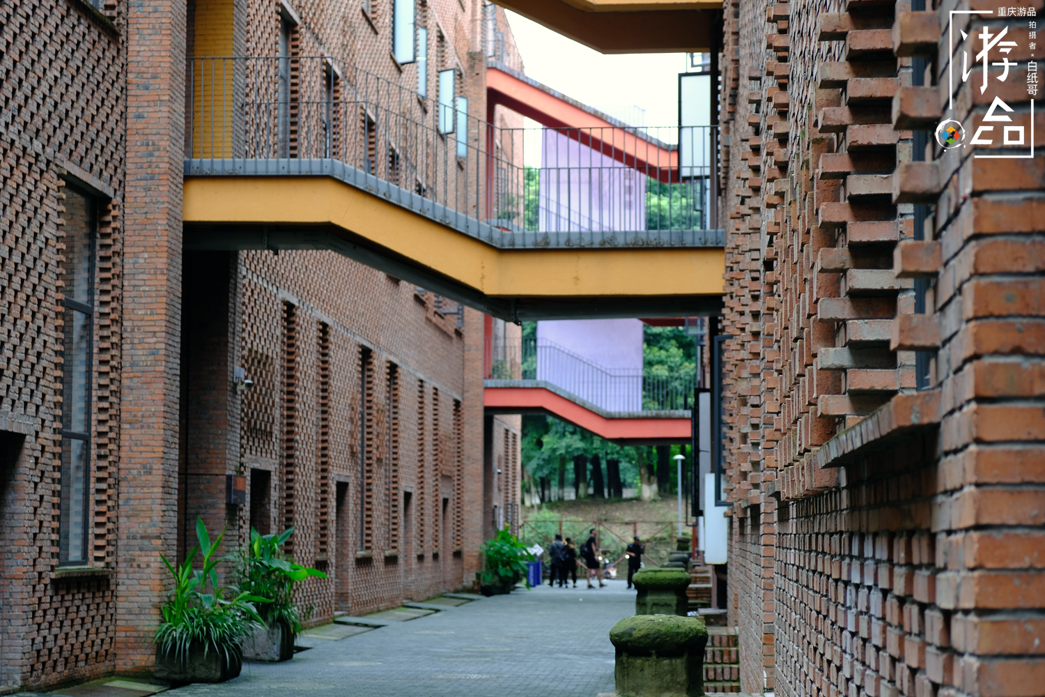 重庆的大学校园风景有多美,重庆川美大学周围有什么玩的