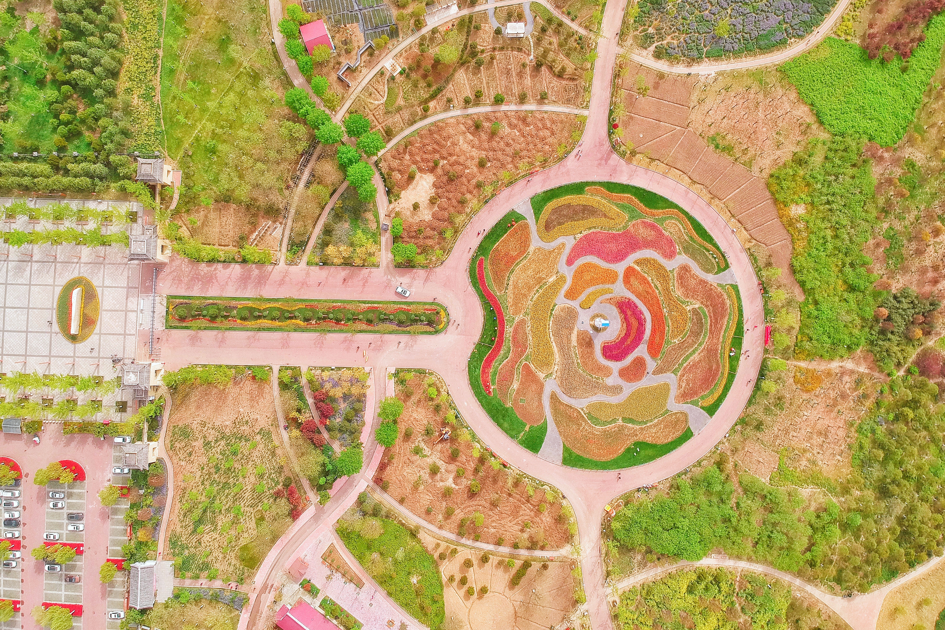 我和宿州有个约会，一场花事，一次慢旅行，探寻最烟火的宿州味道