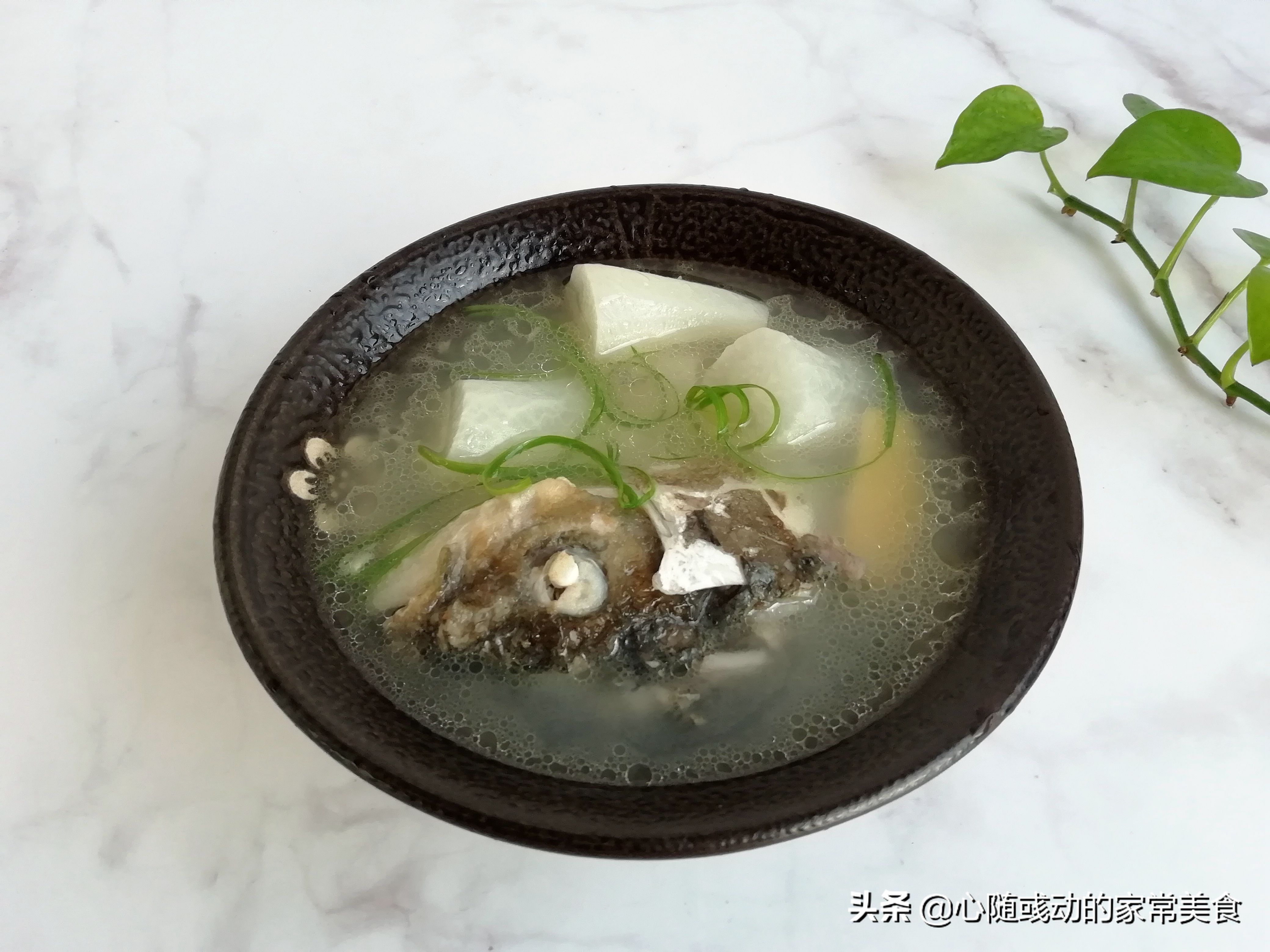 萝卜煮鱼头汤的正确做法,鱼头可以和萝卜一起炖吗