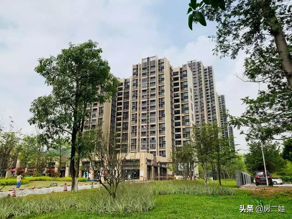 黄埔科学城哪个楼盘的学校好,黄埔科学城楼盘区位图