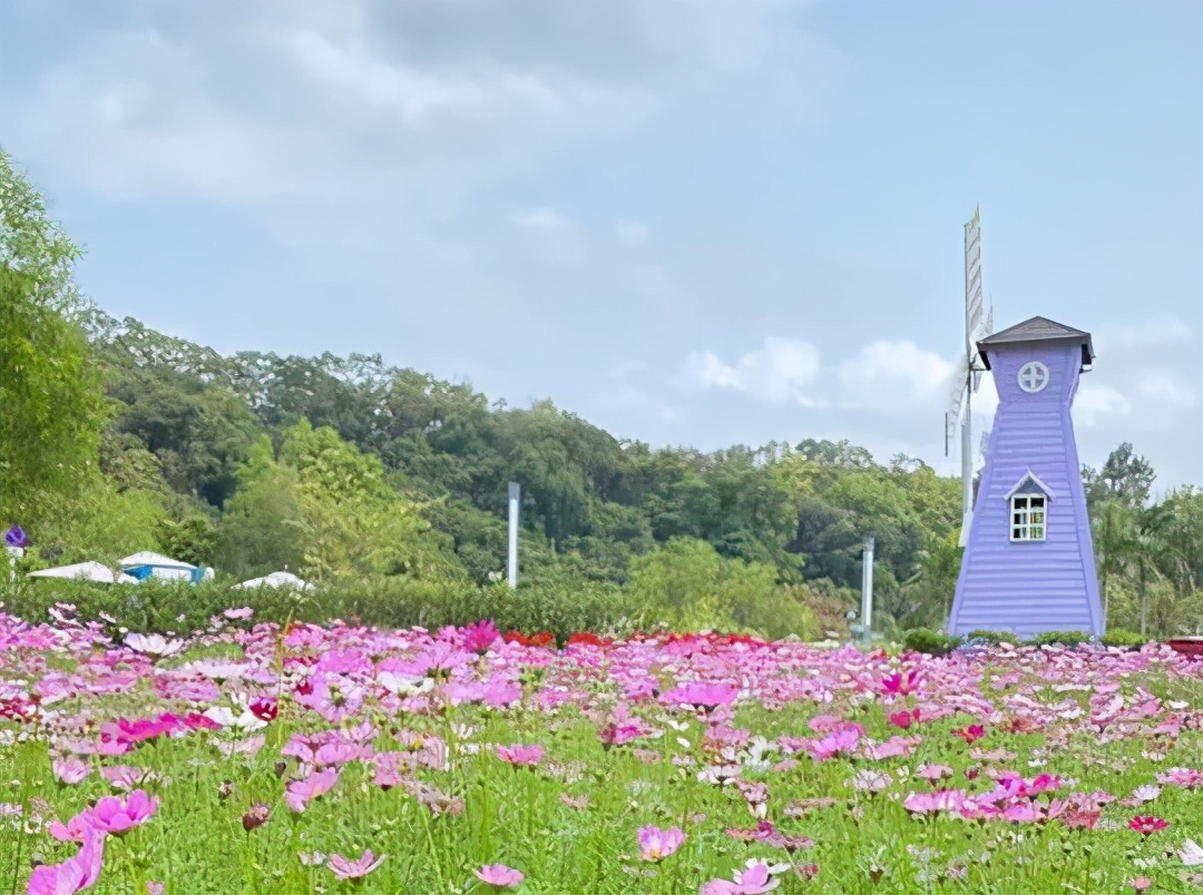 岁月如歌祝所有妈妈母亲节快乐,岁月静好祝母亲节快乐