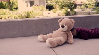 鸽子为什么这么大？懂数学的给出了答案