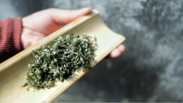 碧螺春茶叶知识,碧螺春茶知识介绍