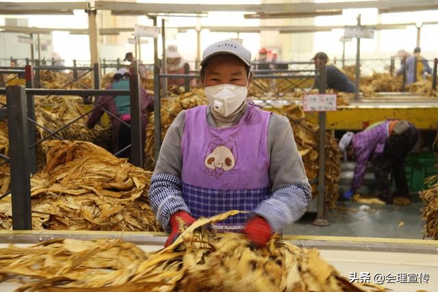 会理复烤厂正式工待遇,会理招工人