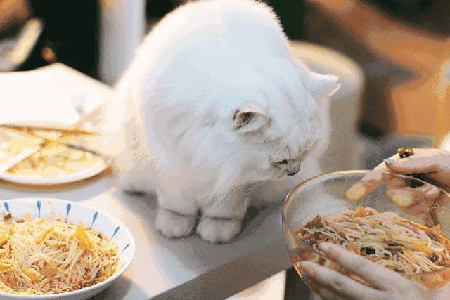 网购螺蛳粉哪款真好吃?试了一年,终于找到无限回购的真爱