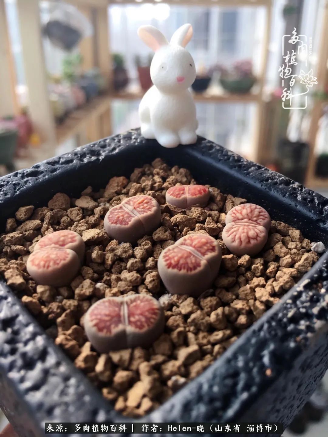 人到中年温暖如初,人到中年岁月静好