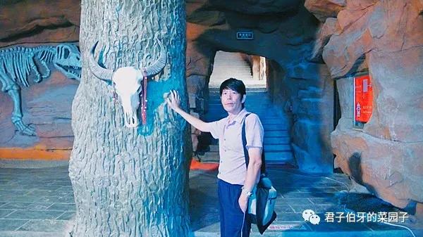 「西行散记」—10:大漠第一墩,长城“龙”尾,李战军