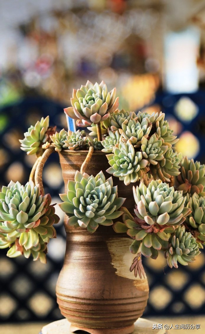 优秀的名言警句大全,特别有深刻意义的名言警句