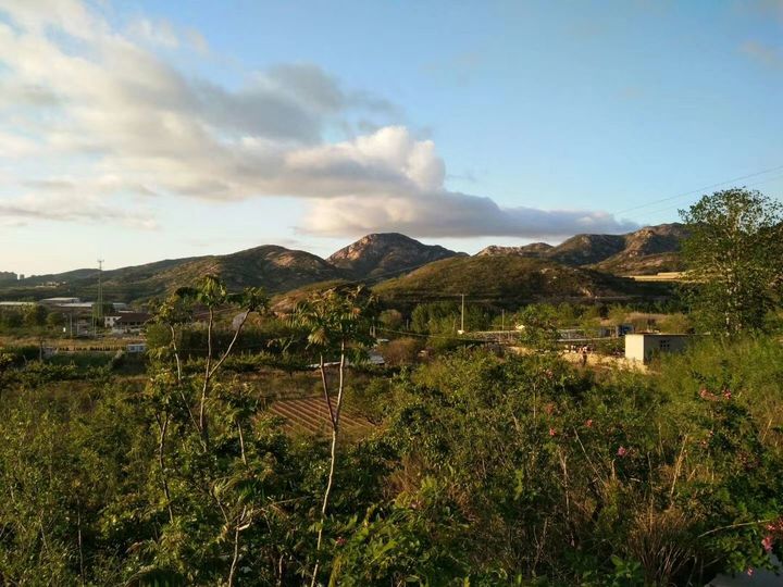 有结晶的蜂蜜是添加了白糖吗,蜂蜜大量结晶