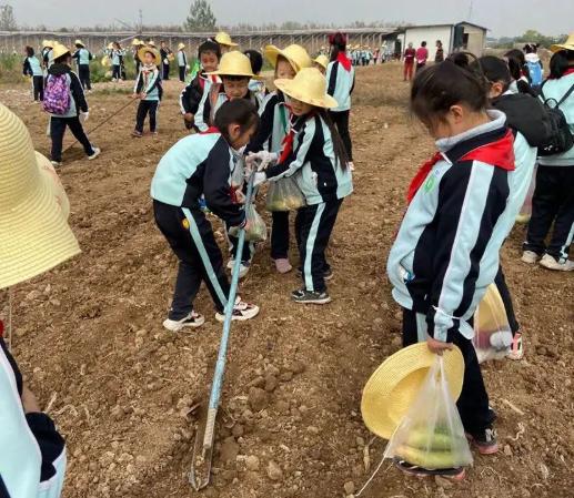 沣惠路小学怎么样,西安沣惠路小学在莲湖区排名