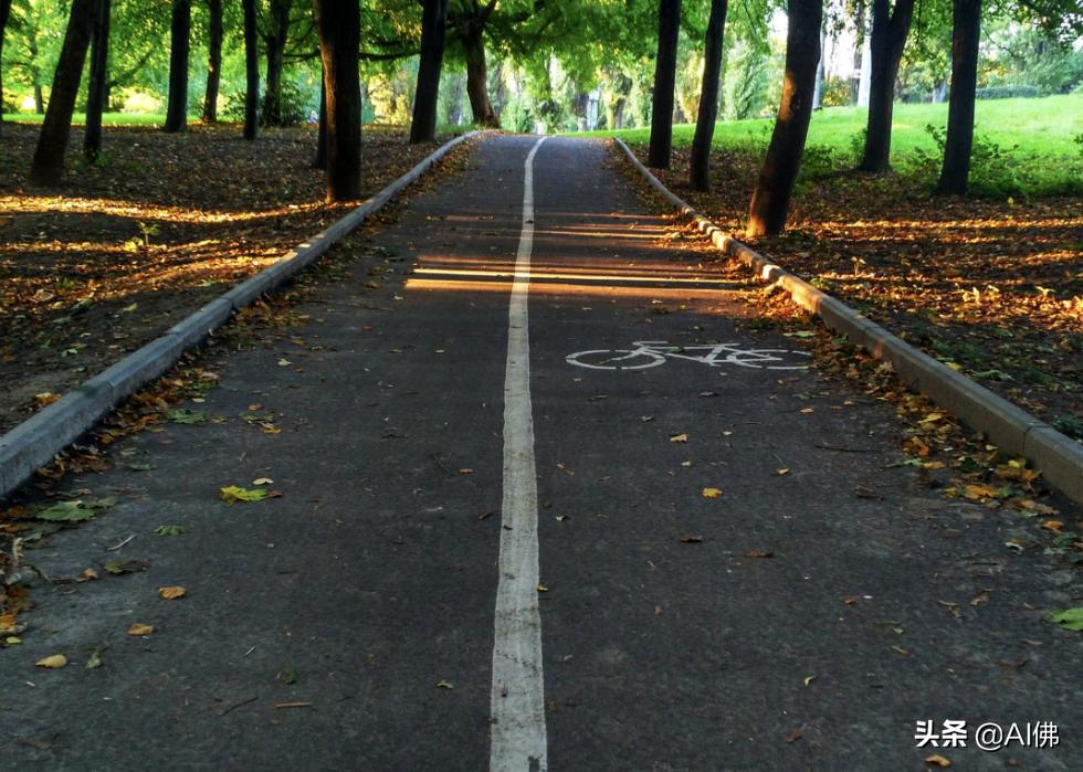 美国50个州发达城市分布图,美国50大城市最新排名